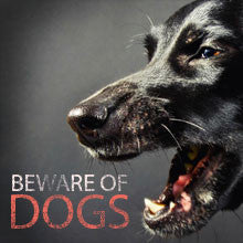 beware of dogs