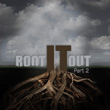 Root it Out - Part 2