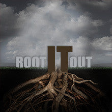 Root it Out - Part 1